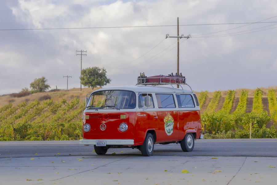 Temecula Wine Tour - Vannboozy (3)