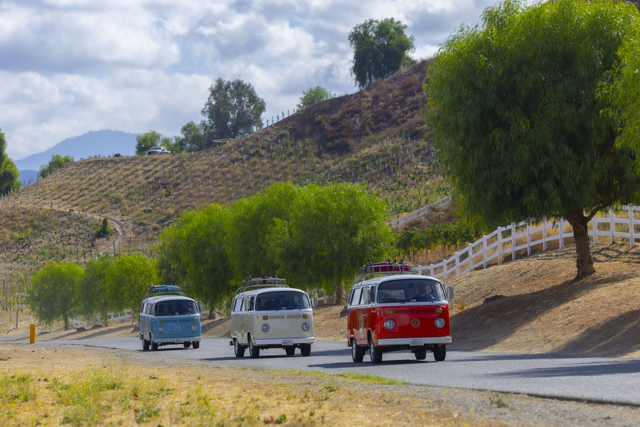 Temecula Wine Tour - Vannboozy (6)