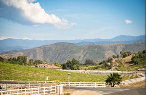 temecula hotels, 3 Daughters vineyard