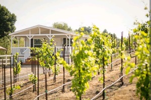 temecula hotels, 3 Daughters vineyard